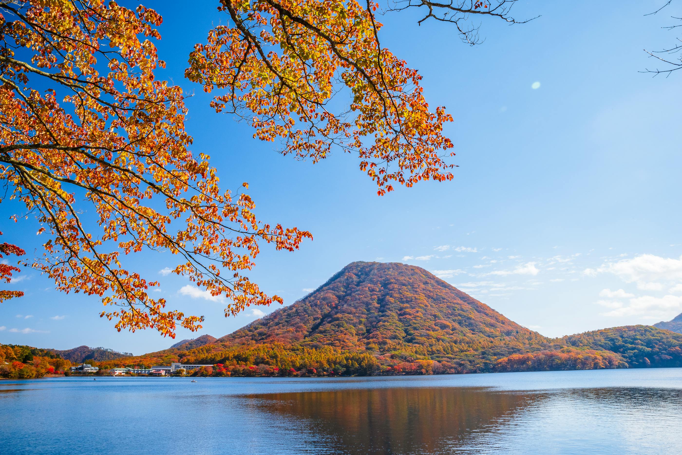 千代田町のイメージ