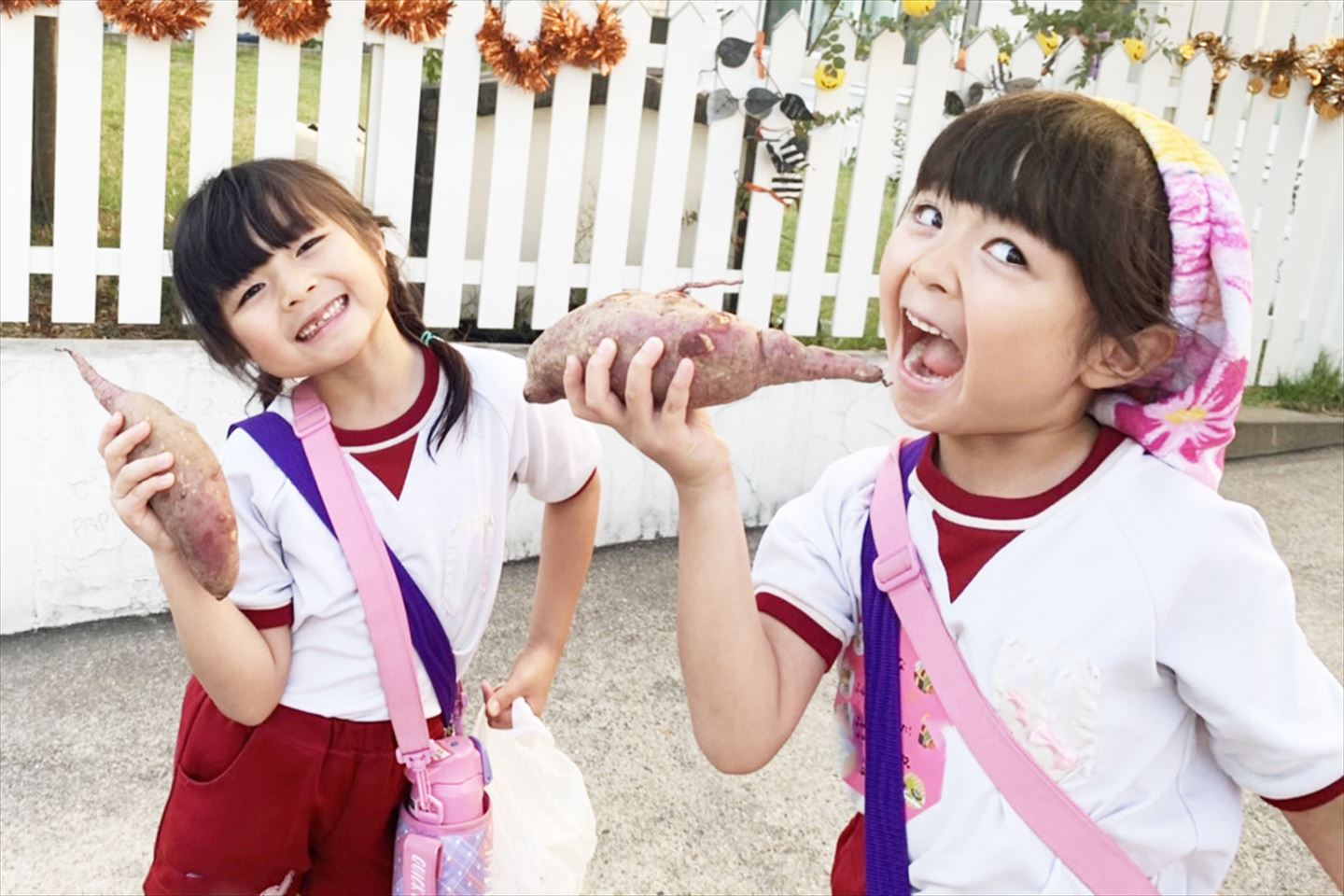 認定こども園はくちょう幼稚園 | 苫小牧市 | 認定こども園