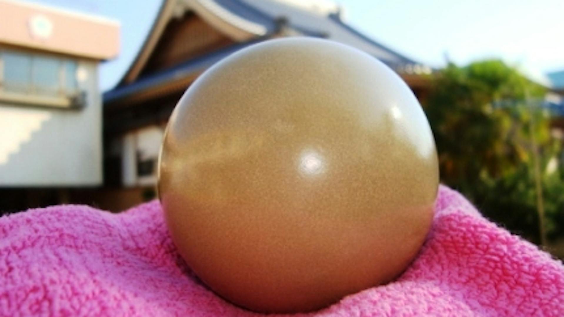 徳山中央幼稚園のロゴ