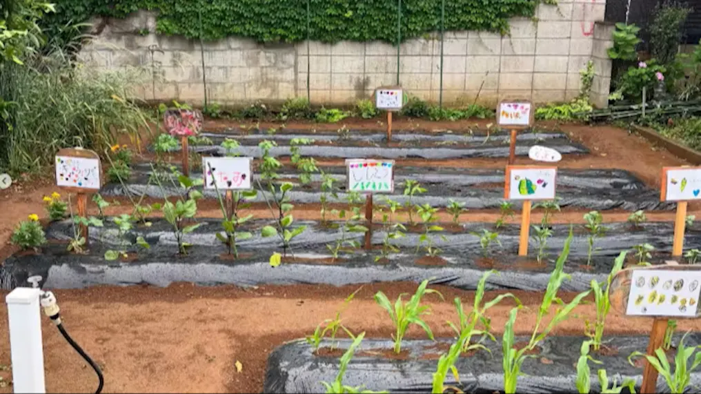 野菜を育てるルンビニー農園