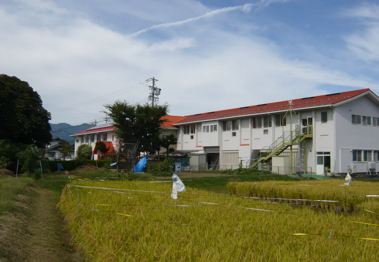 長野大橋保育園