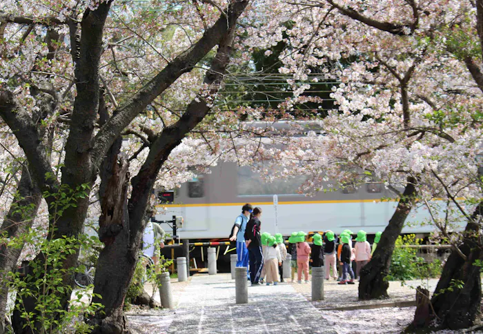 西ノ京みどりの園保育園