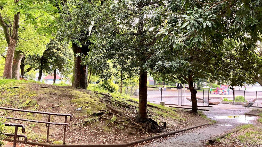 反町公園