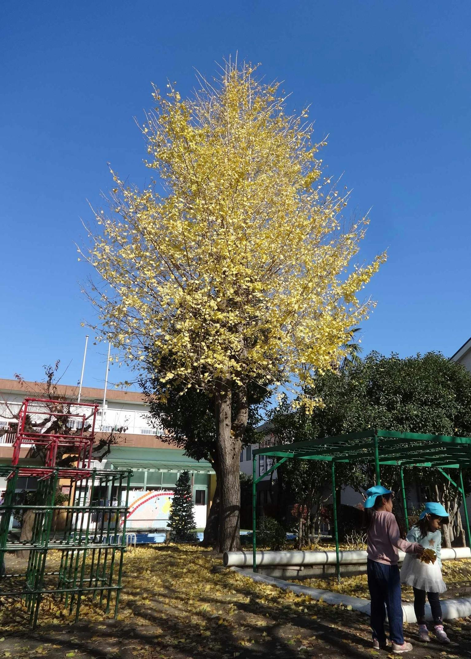 こどももおとなも輝いてほしい！