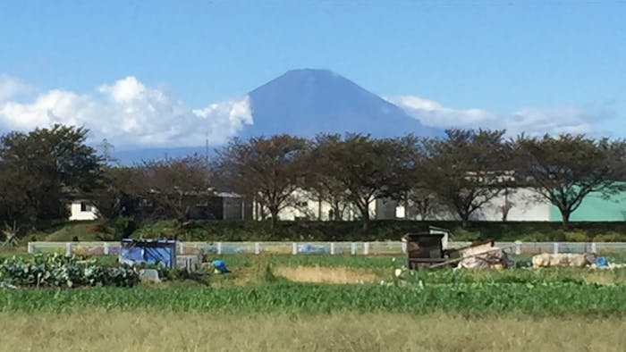 富士山、新幹線見放題の畑