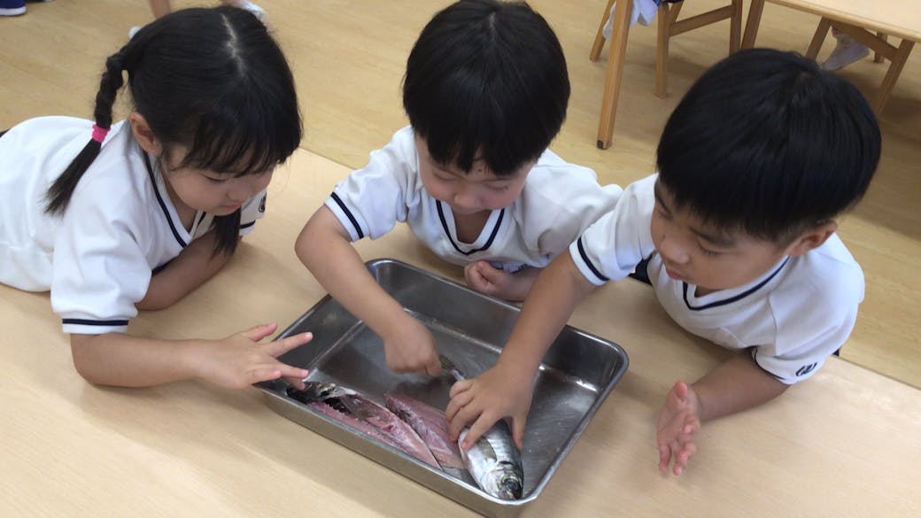 豊かな情操