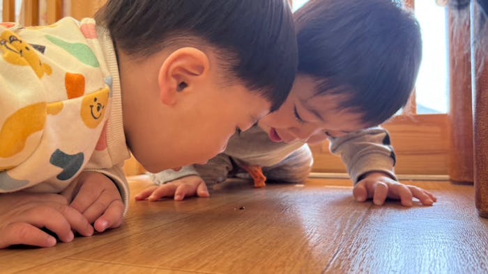 子どものやりたいを叶える