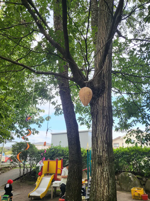 【川奈愛育クラブ】害虫駆除・防虫対策を行っています