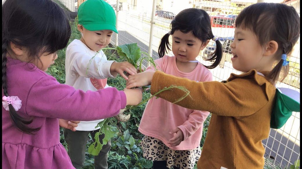 野菜の栽培やクッキングで食育活動！