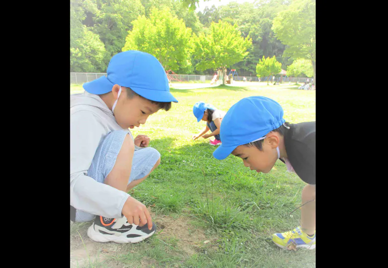 鶴ヶ谷マードレ保育園