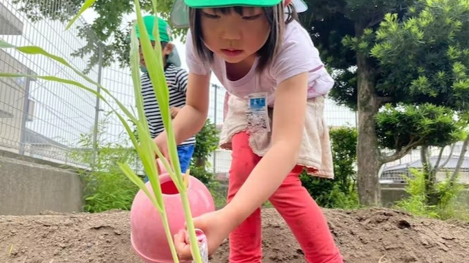 九州音楽幼稚園(熊本県熊本市中央区／認定こども園) - ネットで園見学