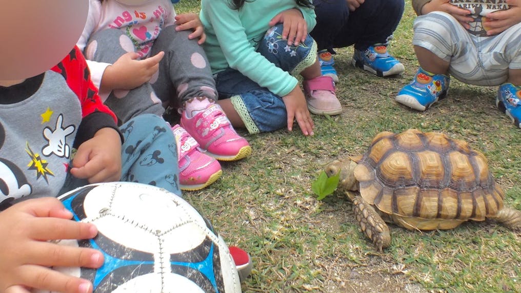 毎月食育のおはなしや体験活動