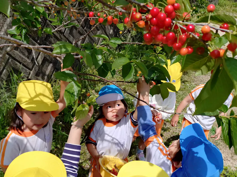 認定こども園 いしだけ幼稚園