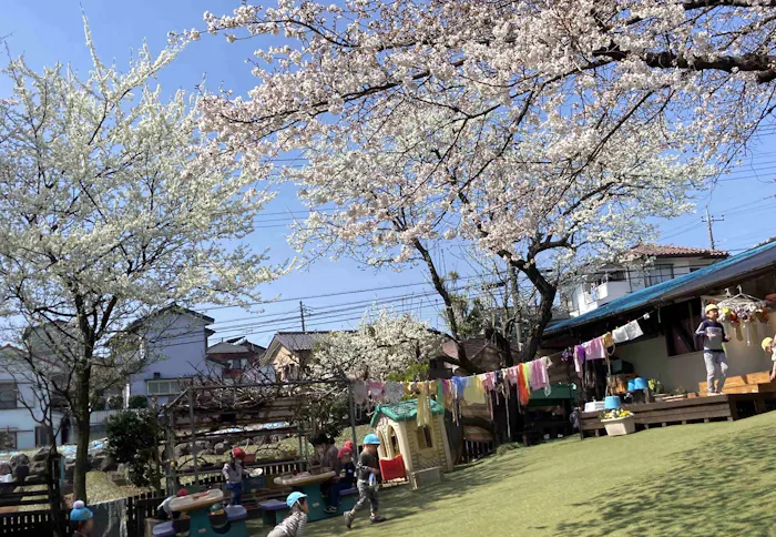どろんこ保育園