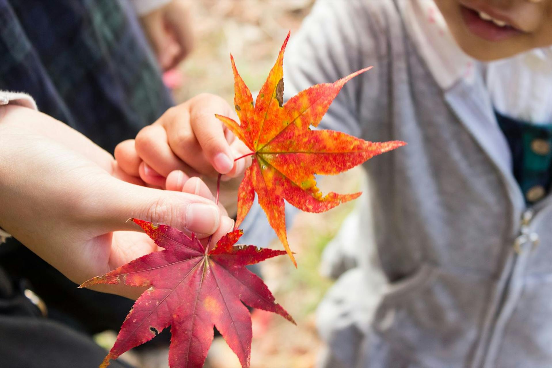 【保育スタッフ募集】得意分野を活かした働き方ができます！