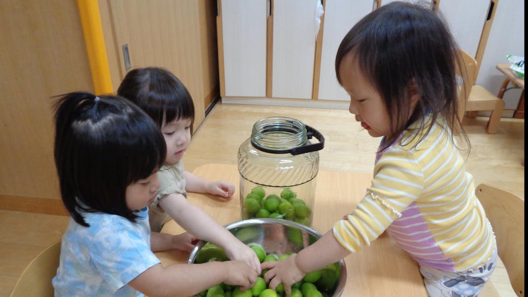 園の栄養士による豊富な食育活動