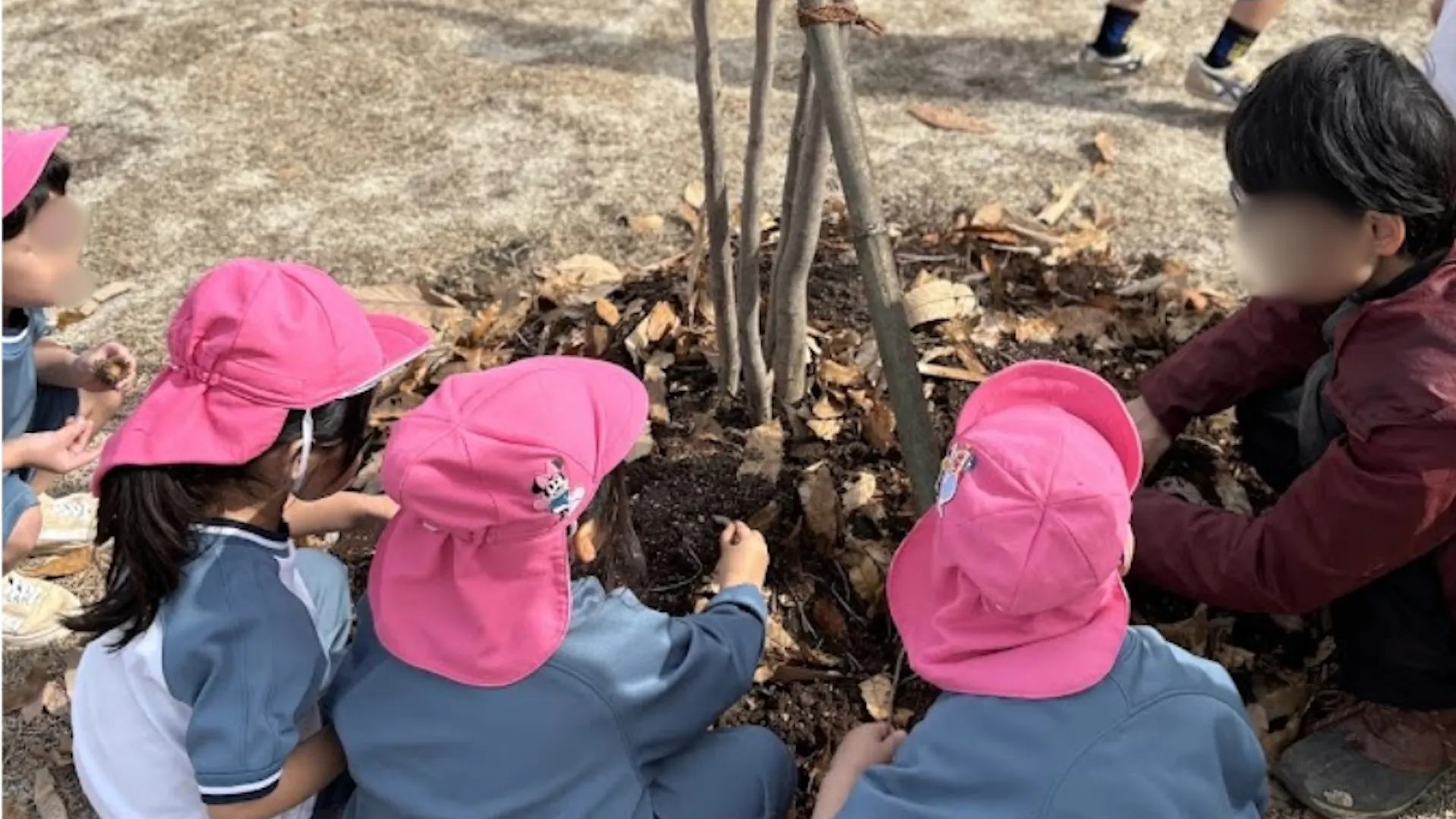 ✅早番・遅番勤務出来る保育士さん大募集中‼️時給１２３０円～