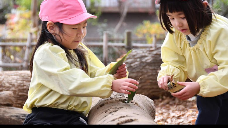 自然がいっぱい！生き物と触れ合いながらの保育をしませんか？