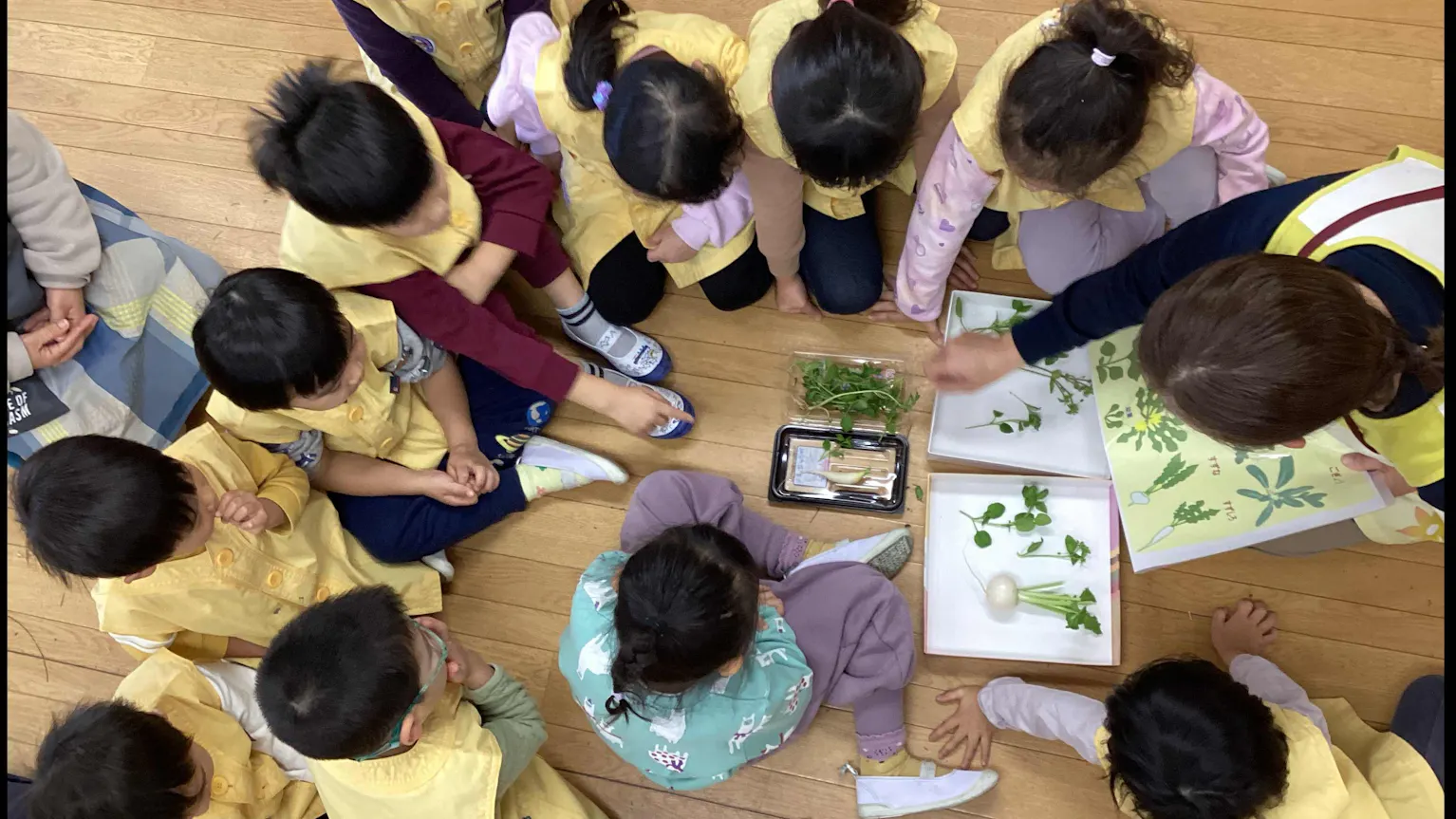 保育テーマは『やってみよう！』スキルを活かす保育・学べる環境
