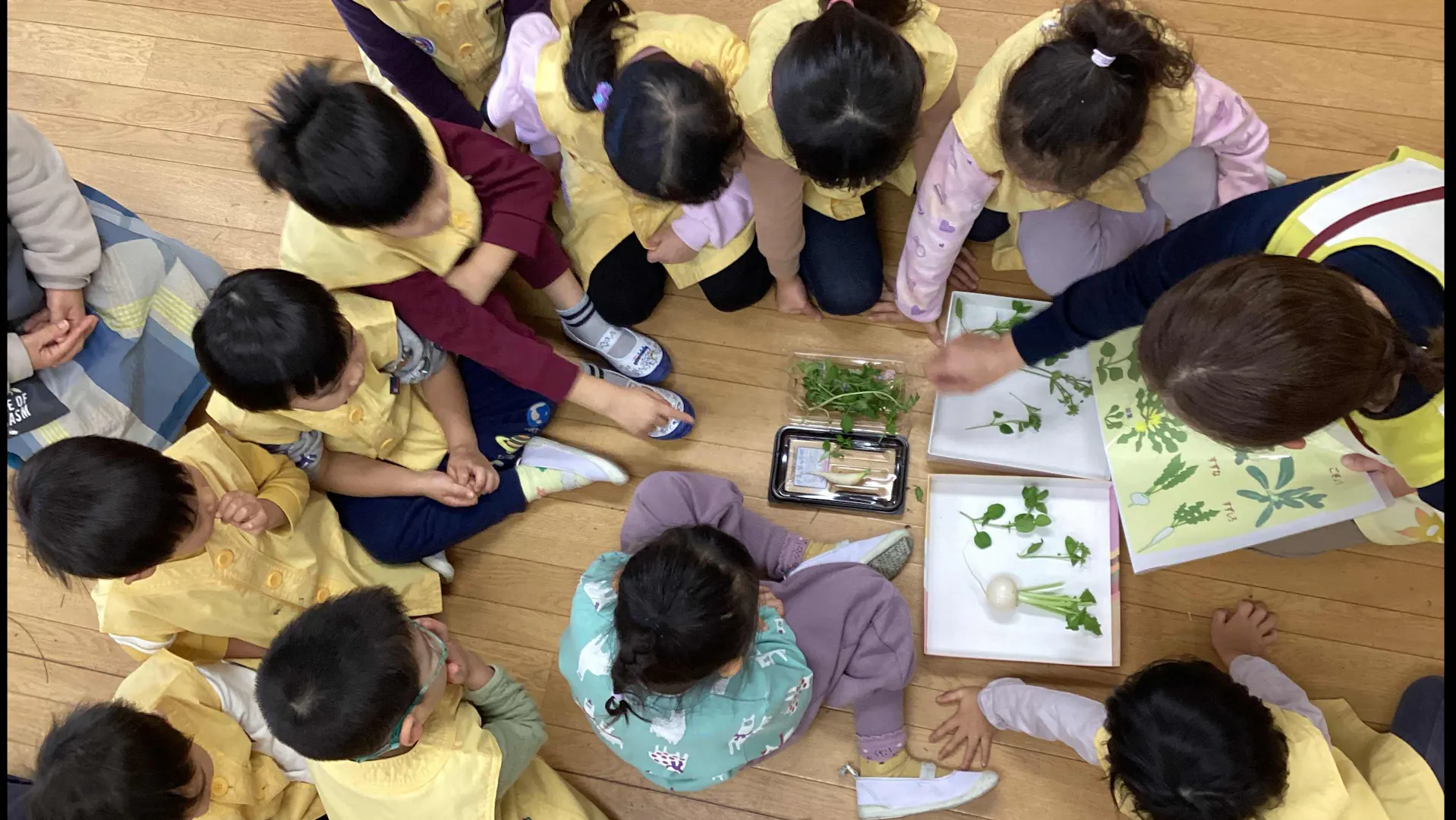 保育テーマは『やってみよう！』スキルを活かす保育・学べる環境