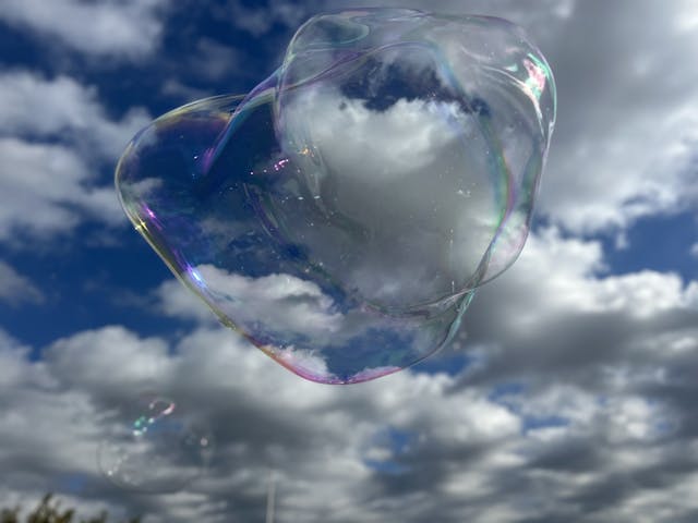 11月のブログをコスモスHPで公開中☆