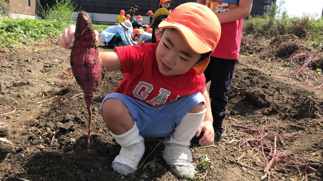 食べることを楽しみ、感謝する気持ちを育む