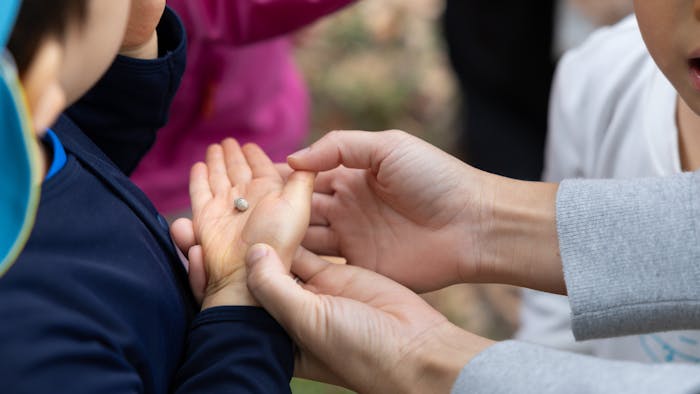 キッズラボ南流山認定こども園の保育理念・方針
