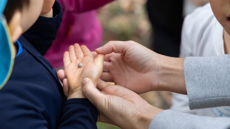 誉田保育園の保育理念・方針