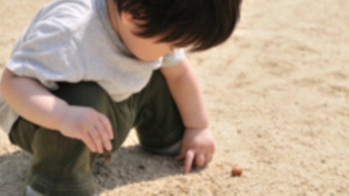 子どもの自らの育ちを支援します。