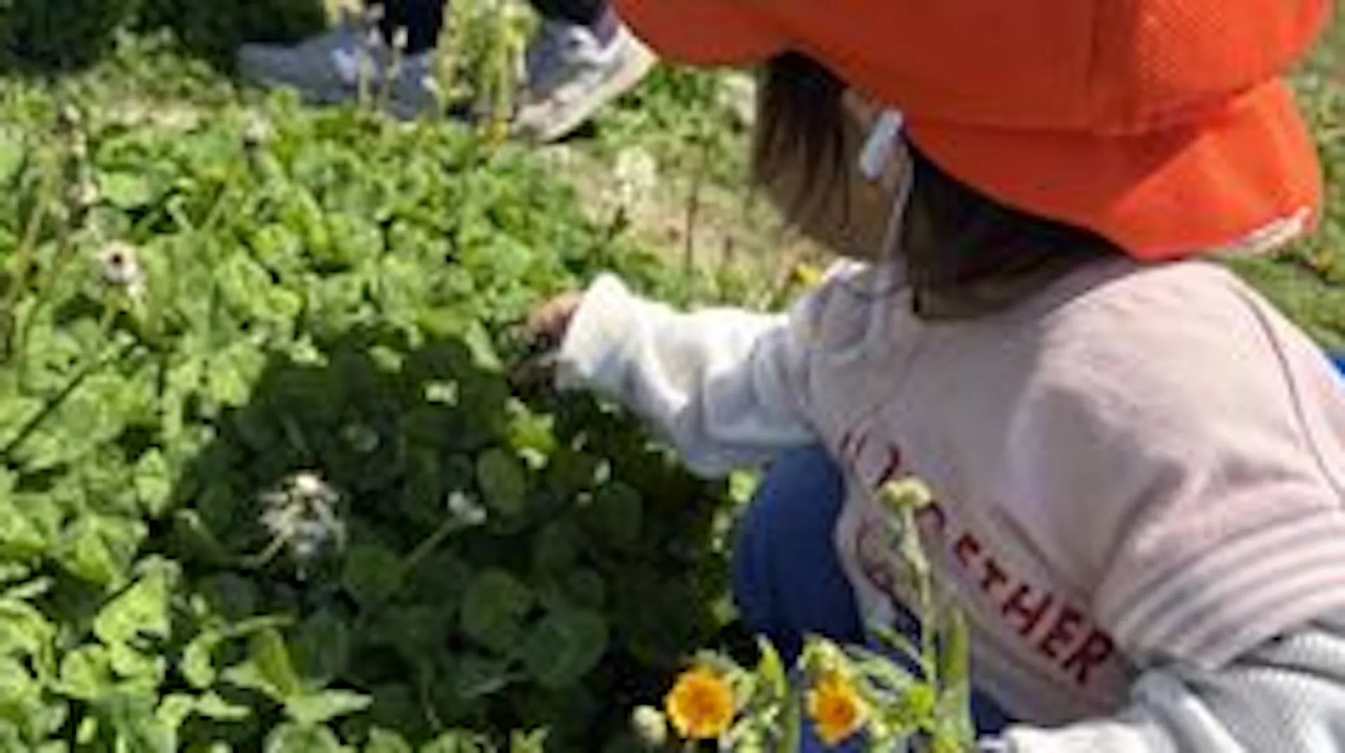 園庭広々！自然豊かな地域の小規模保育所！