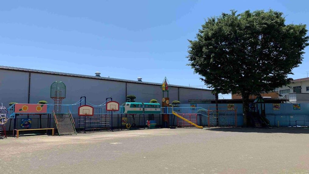 幼稚園のシンボル『大きな木』と広い園庭！