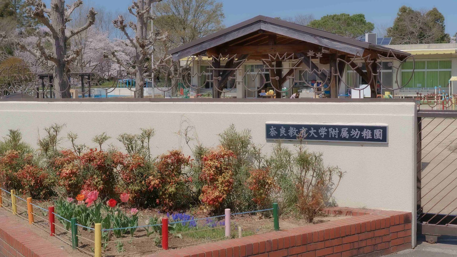 子どもたちと紡ぐ、心躍るドラマが生まれる園