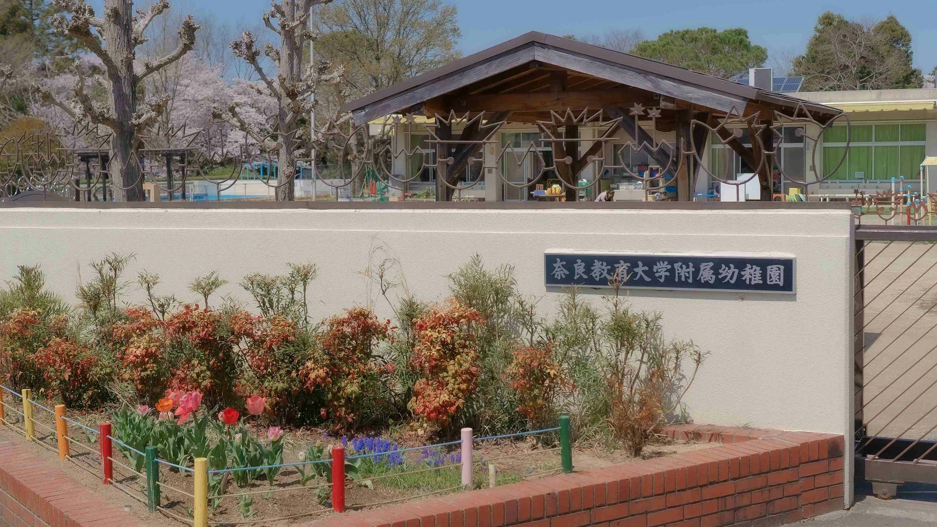 子どもたちと紡ぐ、心躍るドラマが生まれる園