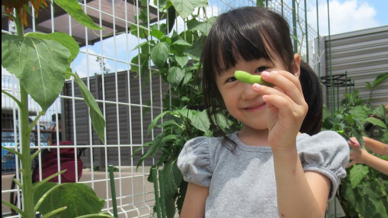 生物いっぱいの新規園！園庭もある中規模認可保育園！