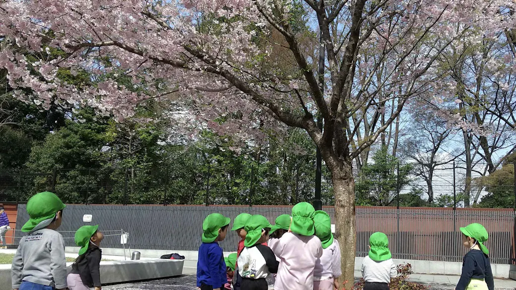 わくわくする毎日