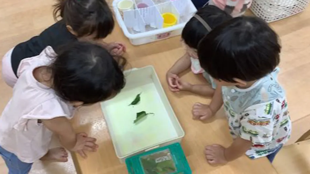 『学ぶ力』を育む　子どもたちに様々な経験を