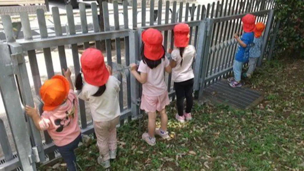 自然が多い園庭で子どもたちの感性を養います