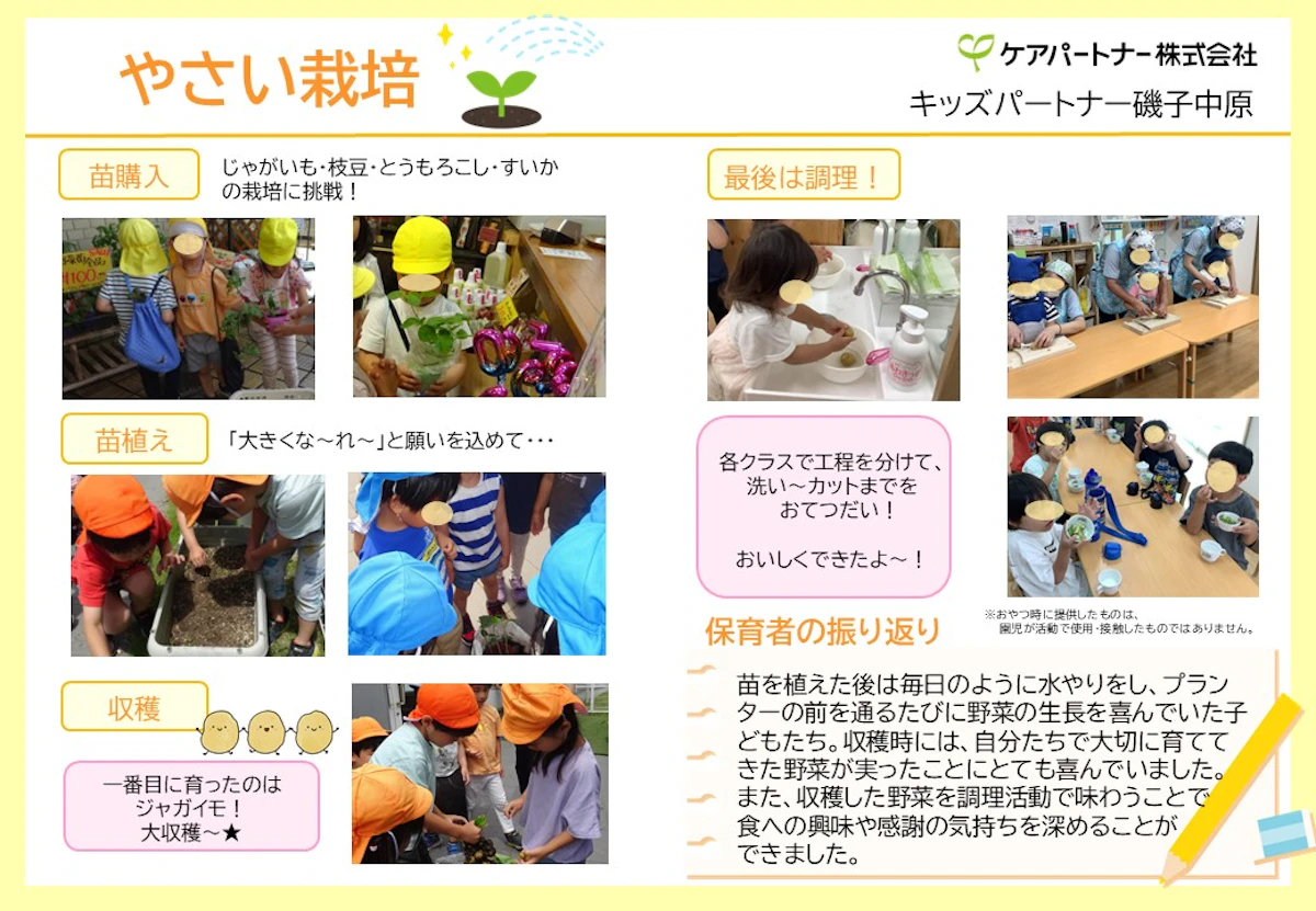 修正磯子中原　栽培(修正）.jpg