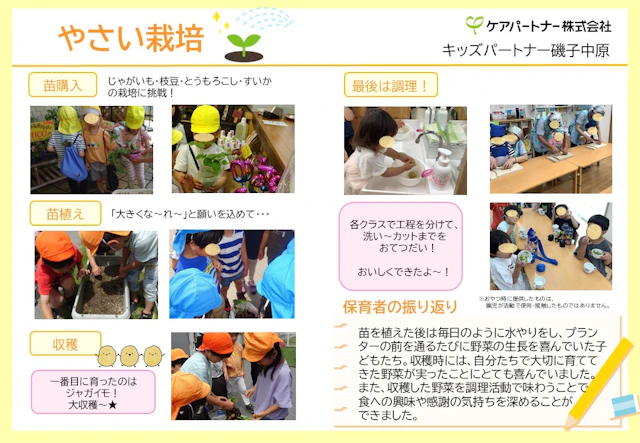 【活動報告】やさい栽培の様子