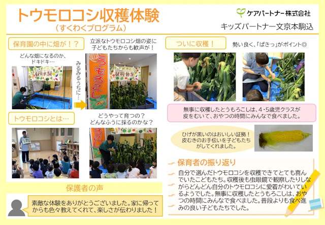 【保育ドキュメンテーション】トウモロコシ畑がやってきた！（すくわく活動）