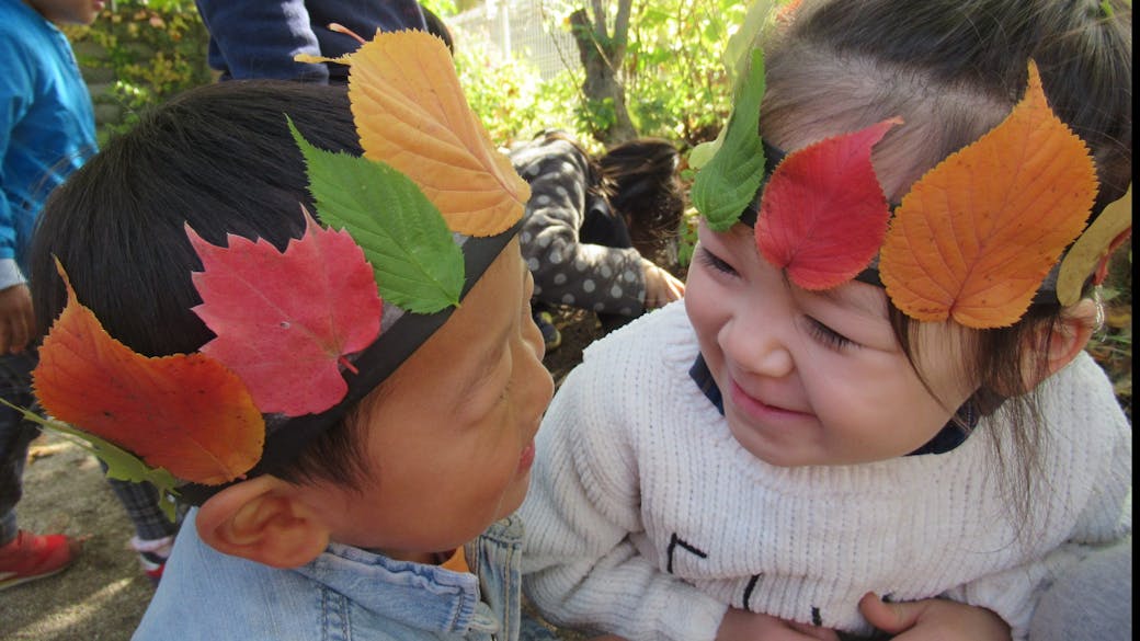 信州型自然保育 やま保育