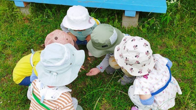 木の実（このみ）保育園の保育理念・方針