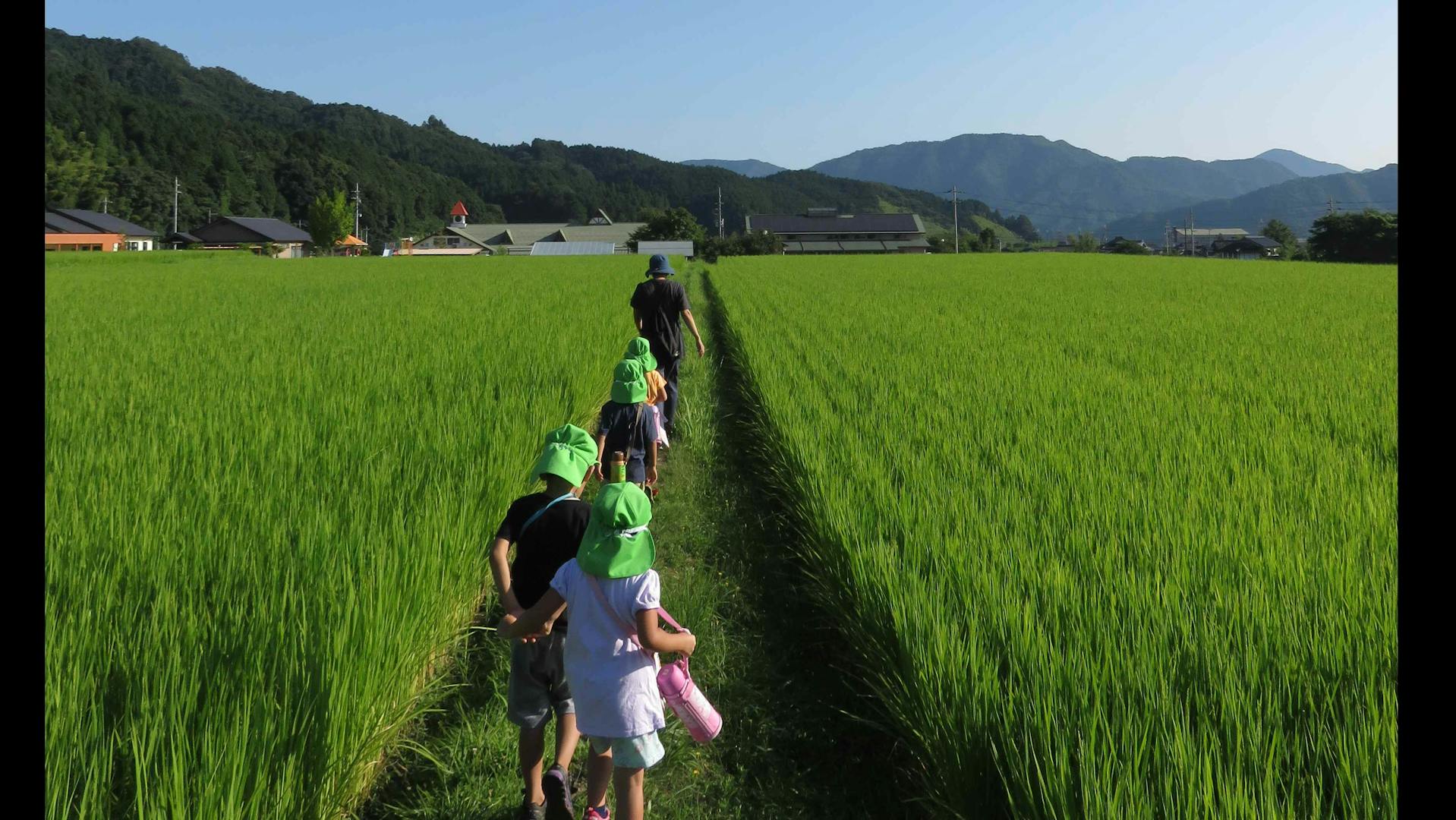 自然の中で子どもと一緒に成長していきましょう。