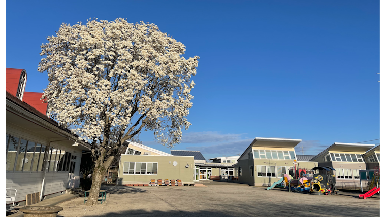 学校法人松栄学園の事業者情報 茨城県つくば市学校法人 Hoicil ホイシル