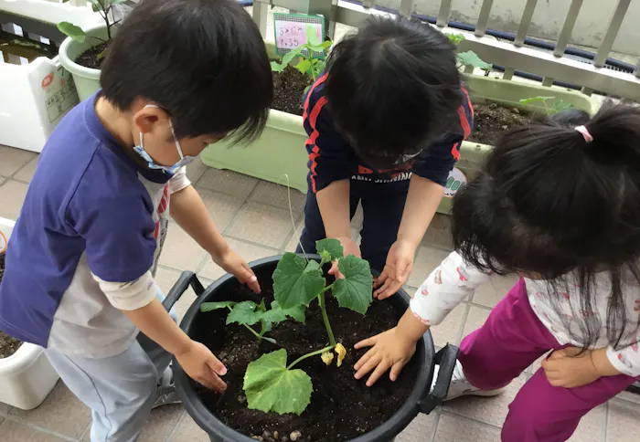 新大宮駅前みどりの園保育園