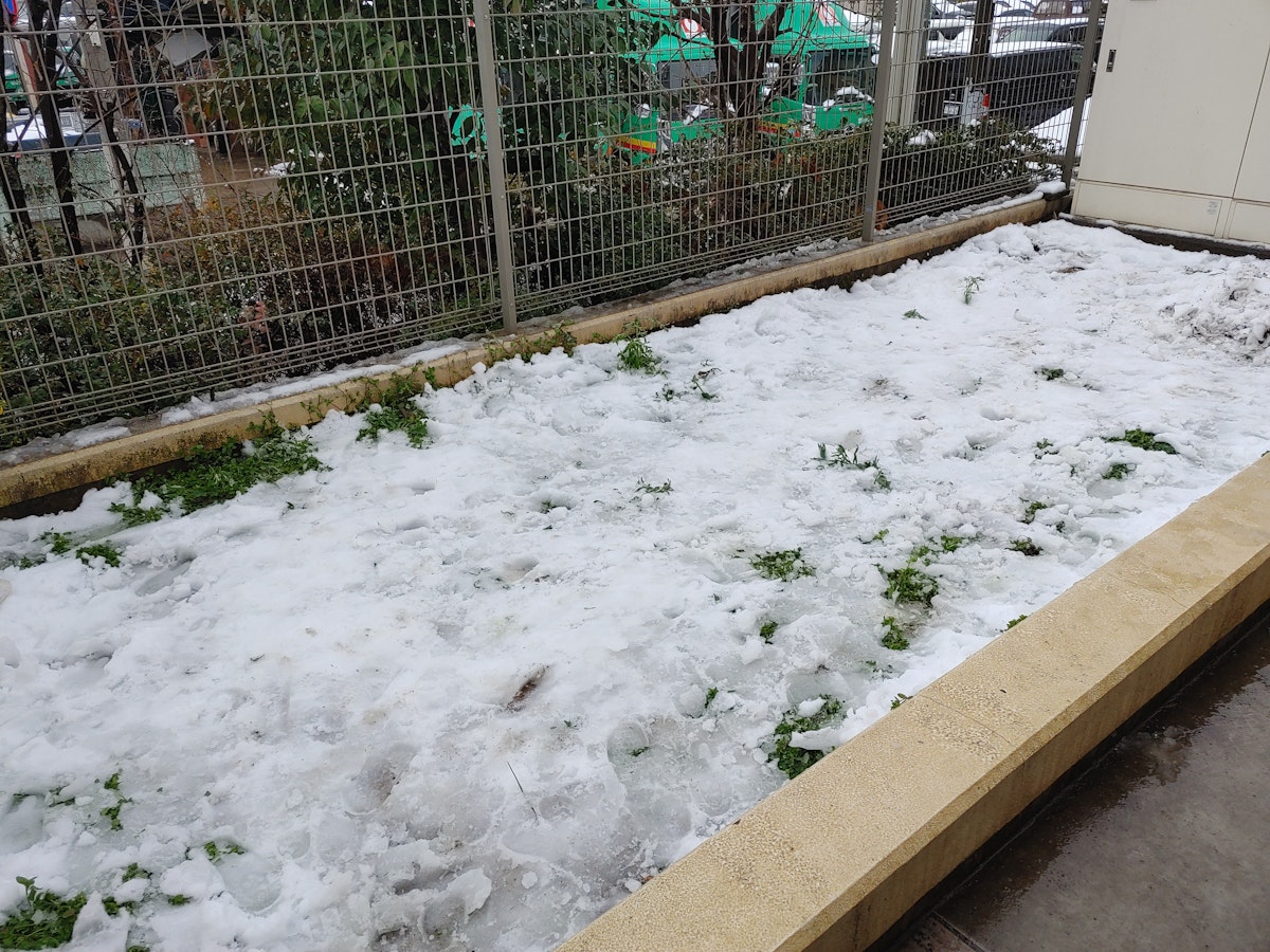 畑に積もった雪.jpg