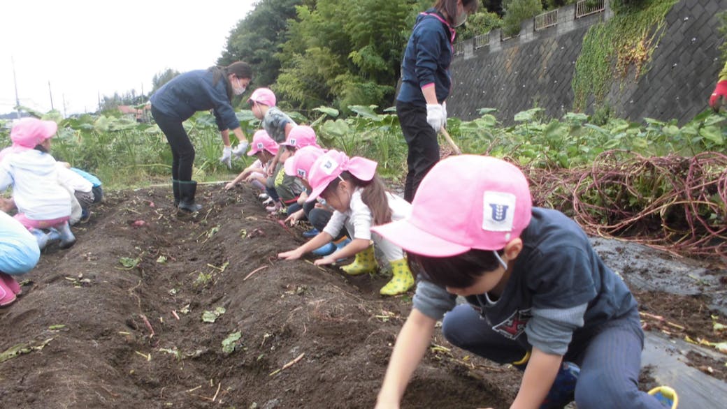 自然環境を生かした教育・保育の推進