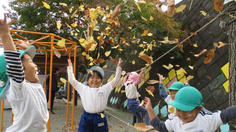 秦野市立しぶさわこども園の保育理念・方針