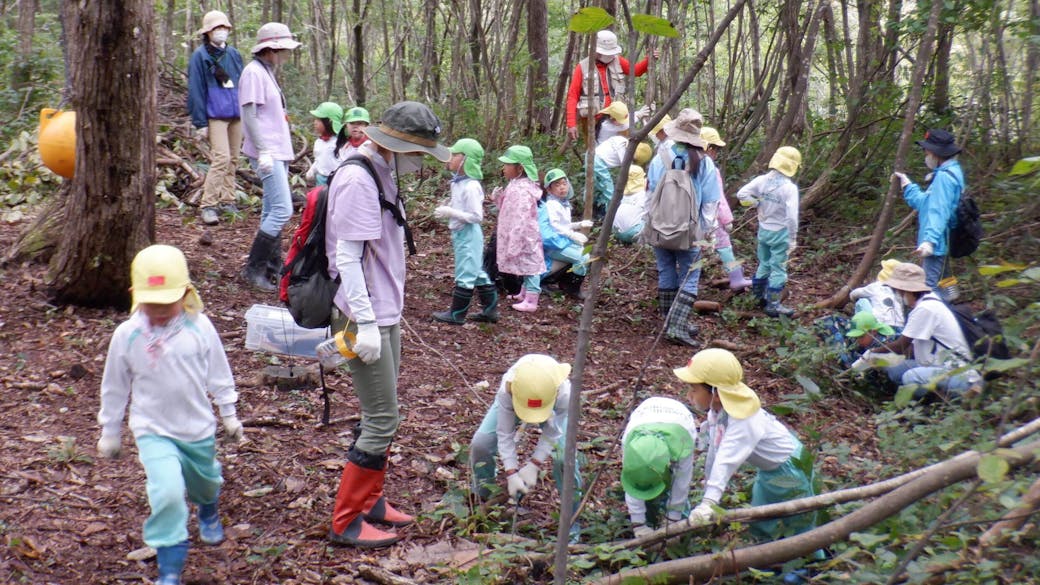 森のこども園