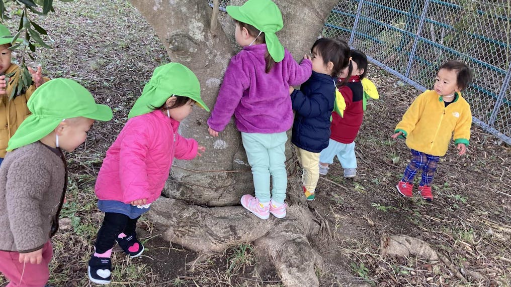 今日はどこへ行こう？お散歩コースがたくさんあります！